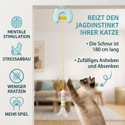 Interaktives elektrisches Katzenspielzeug